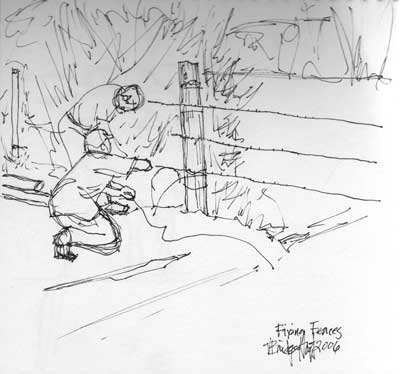 Fixing Fences