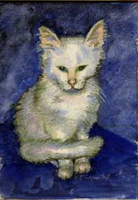 A Kitten Named Ivy
