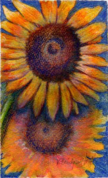 Sunny Side Up