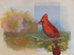 Cardinal, wc